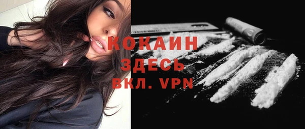 гашик Заводоуковск
