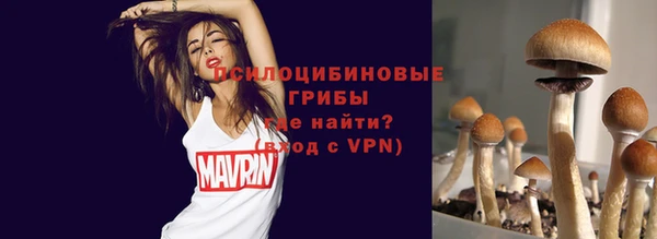 прущая мука Елабуга