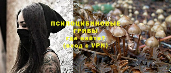 прущая мука Елабуга
