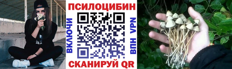 Купить закладки  Няндома  Псилоцибиновые грибы мицелий 