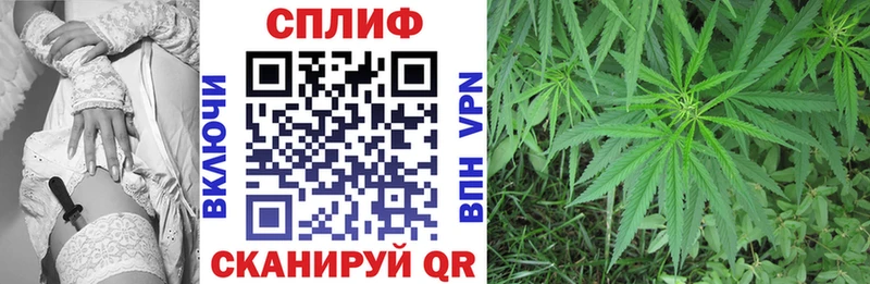 Бошки марихуана Amnesia  Купить закладки  Няндома 